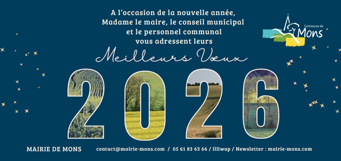 Cérémonie des vœux du Maire